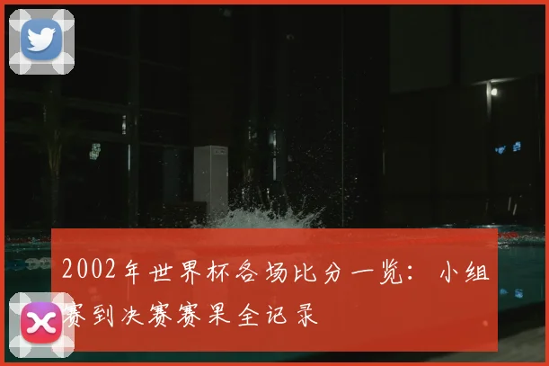 2002年世界杯各场比分一览：小组赛到决赛赛果全记录