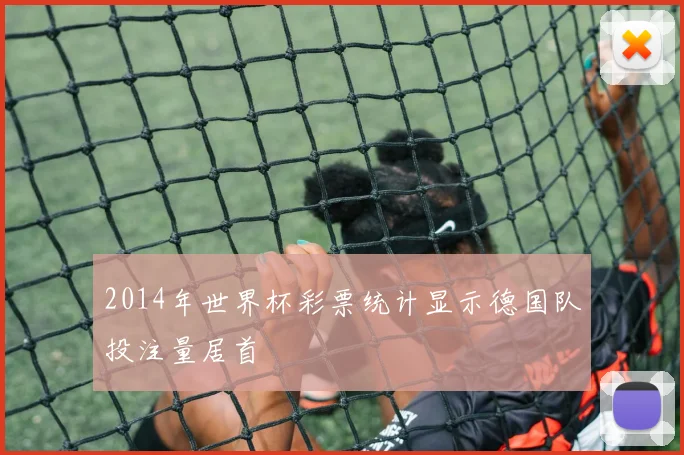 2014年世界杯彩票统计显示德国队投注量居首